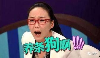 娱乐圈不小心爆料的小说,意外曝光的明星爱情秘史